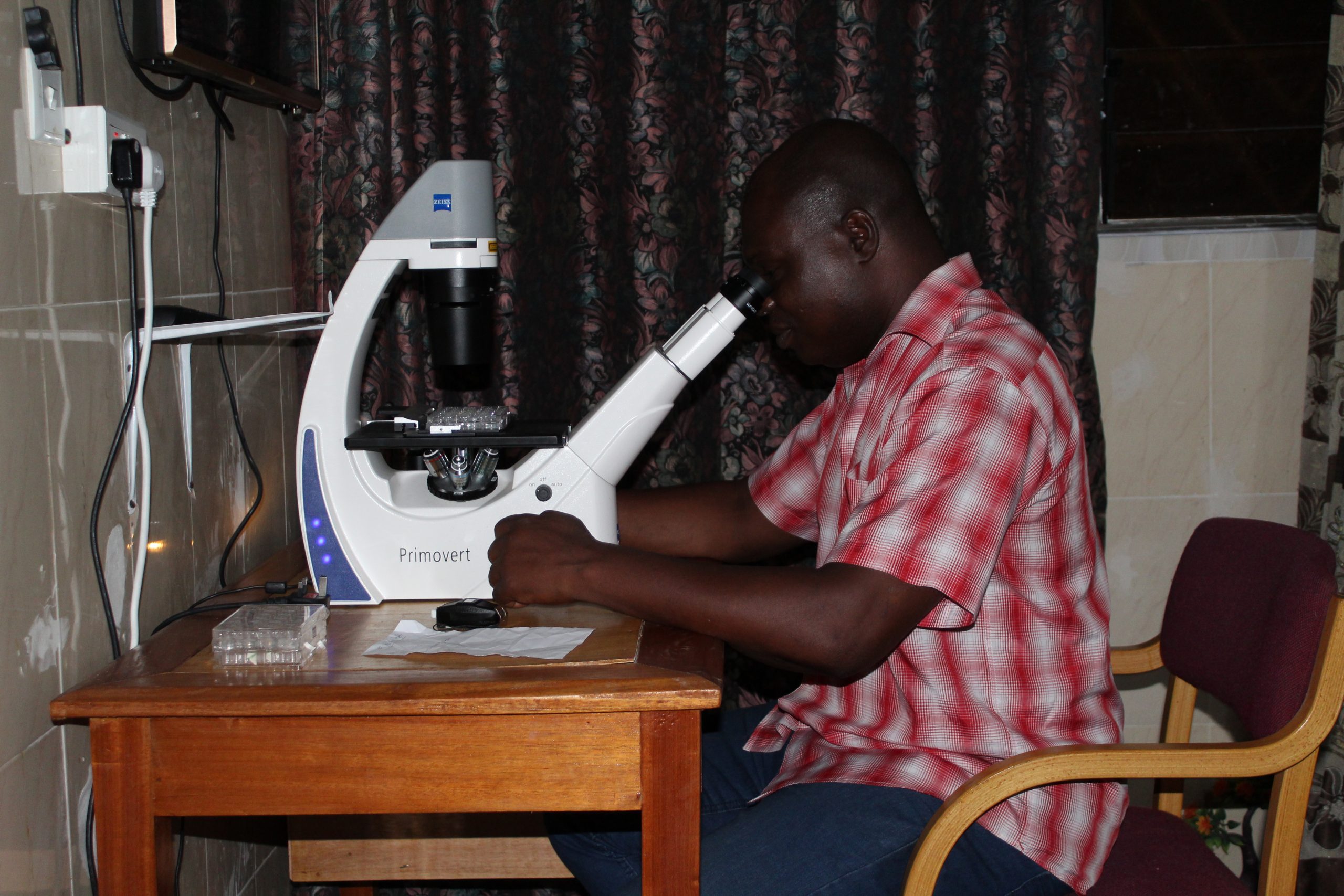 Microscopic examination of the skin biopsies for the baby worms (microfilariae) of Onchocerca volvulus 24 hours after the skin snipping